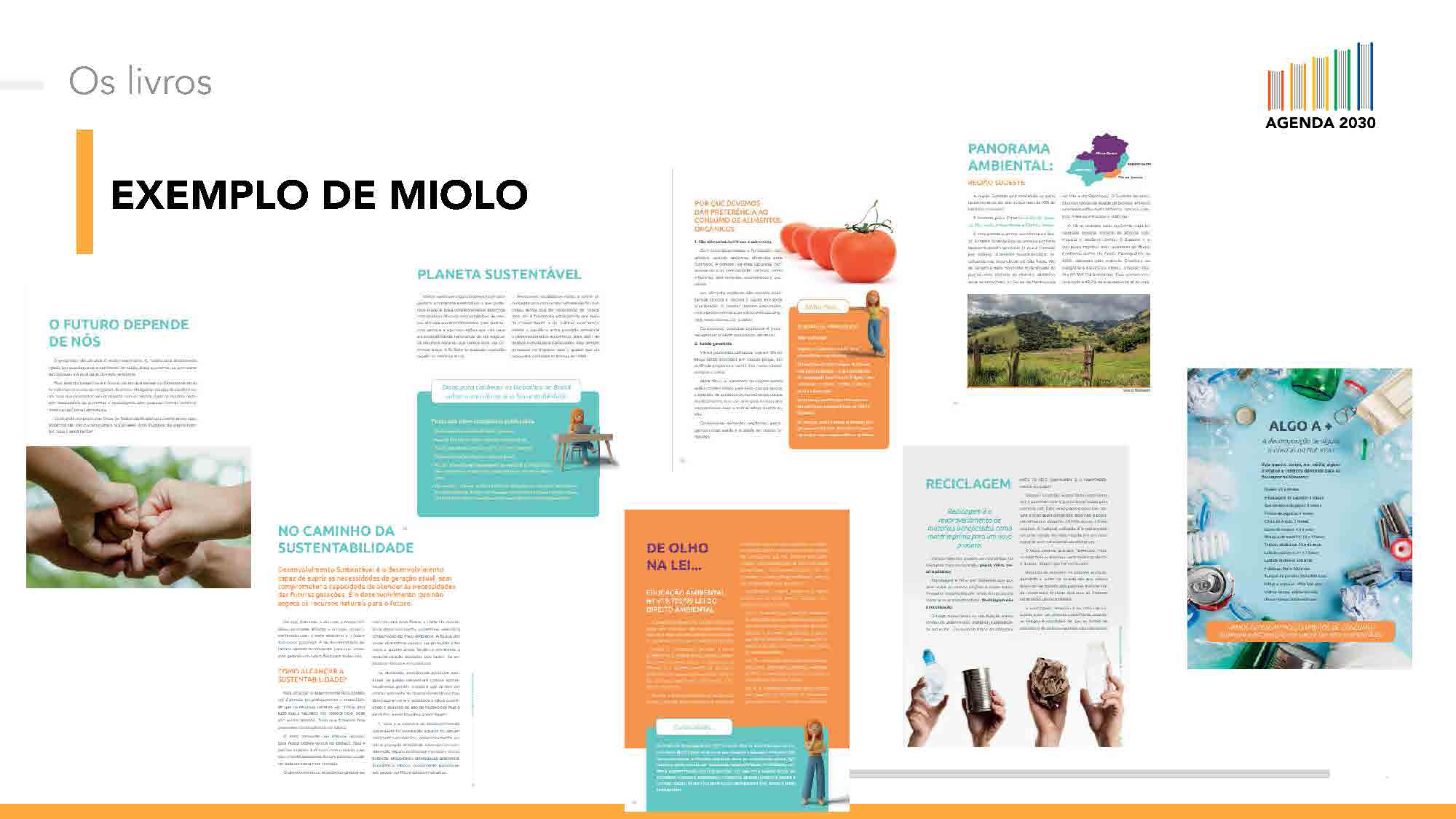 Exemplo de Miolo